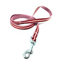 Nobleza nylonové vodítko s reflexným prešitím 1,5 x 120 cm červené